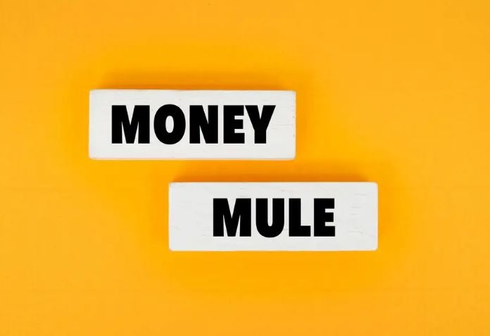 Apa Itu Rekening Mule dalam Kasus Penipuan? Ini Pengertian, Modus, dan Cara Menghindarinya