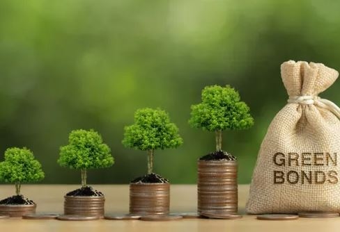 Apa Itu Obligasi Hijau atau Green Bond?