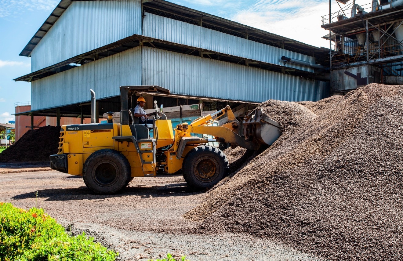 IPB Dorong Pemanfaatan Limbah Kelapa Sawit Jadi Produk Bernilai Tinggi