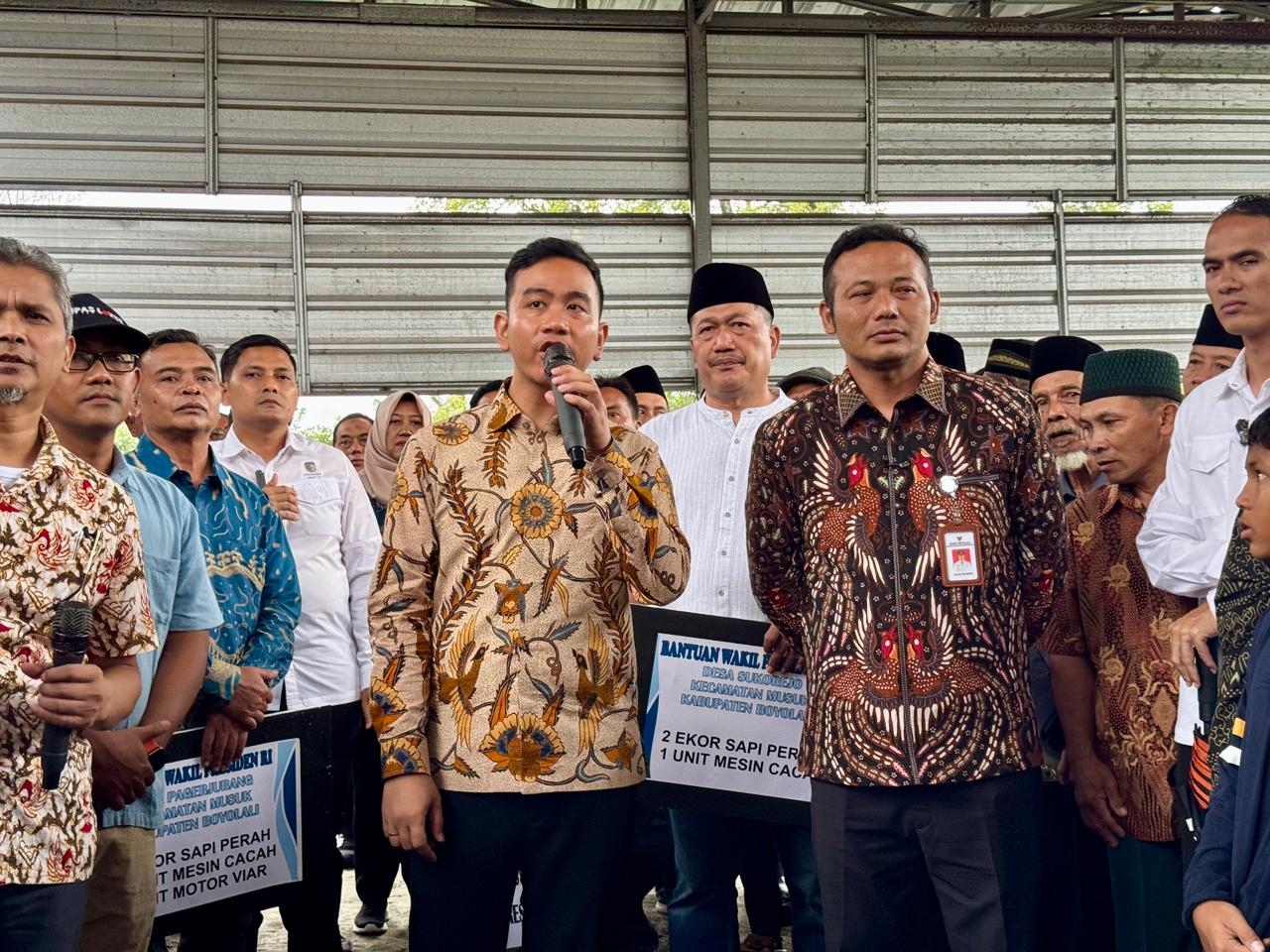 Gibran Tinjau Peternakan Sapi di Boyolali, Dorong Pengendalian Penyakit dan Hilirisasi Industri