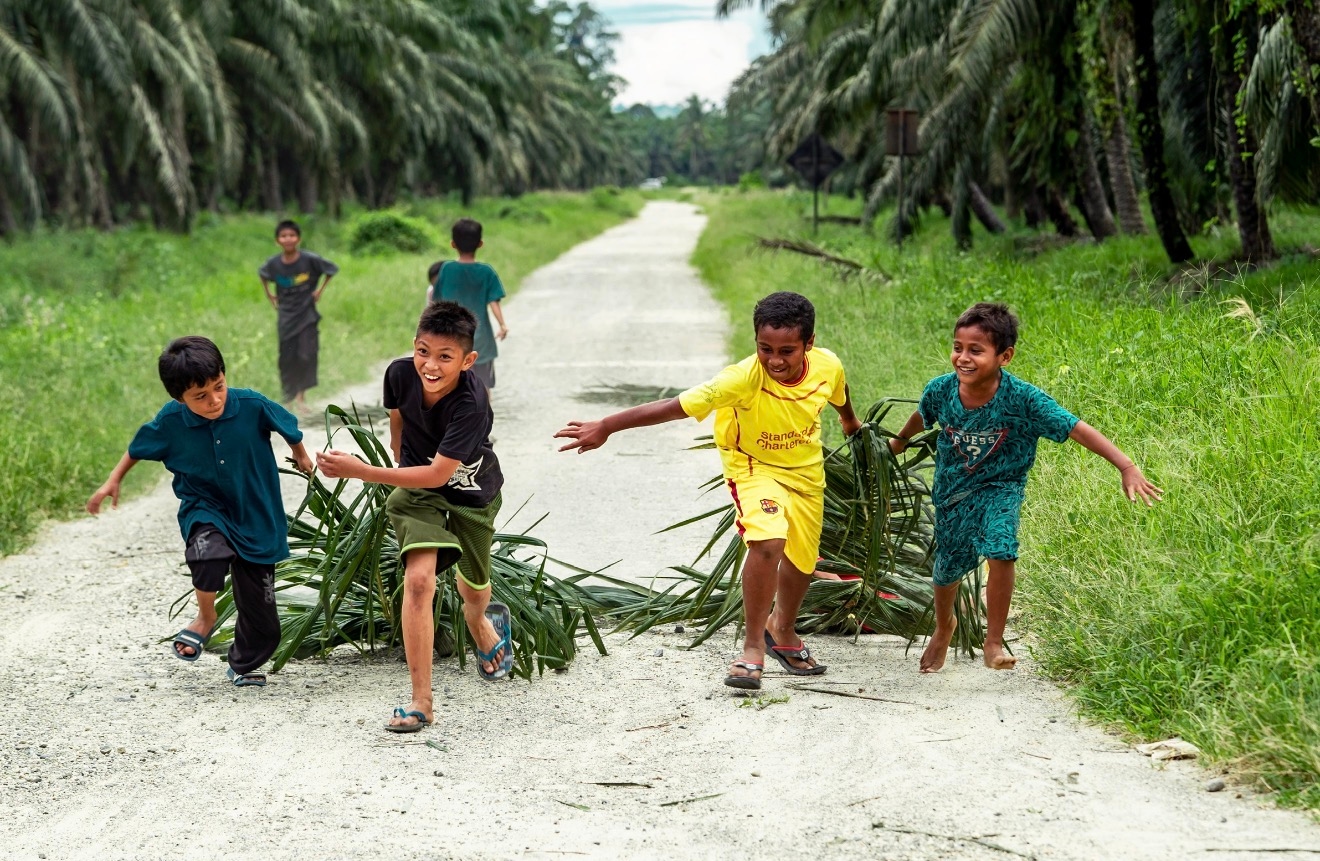 PASPI: Pengembangan SDM Jadi Kunci Keberlanjutan Industri Sawit