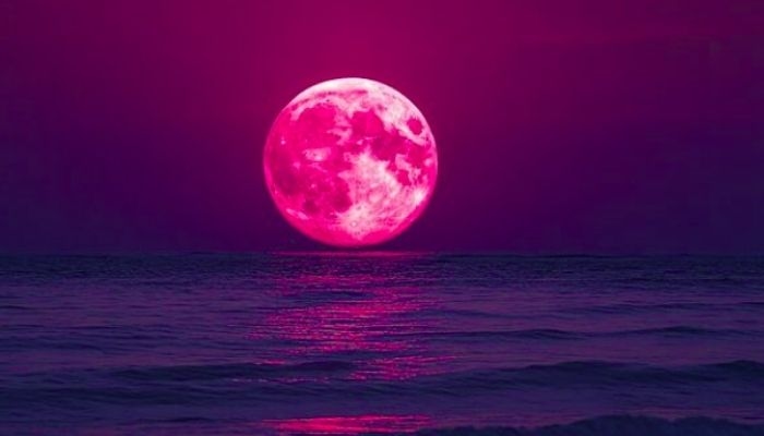 Apa Itu Pink Moon? Ini Fenomena Astronomi yang Muncul 1 April 2026