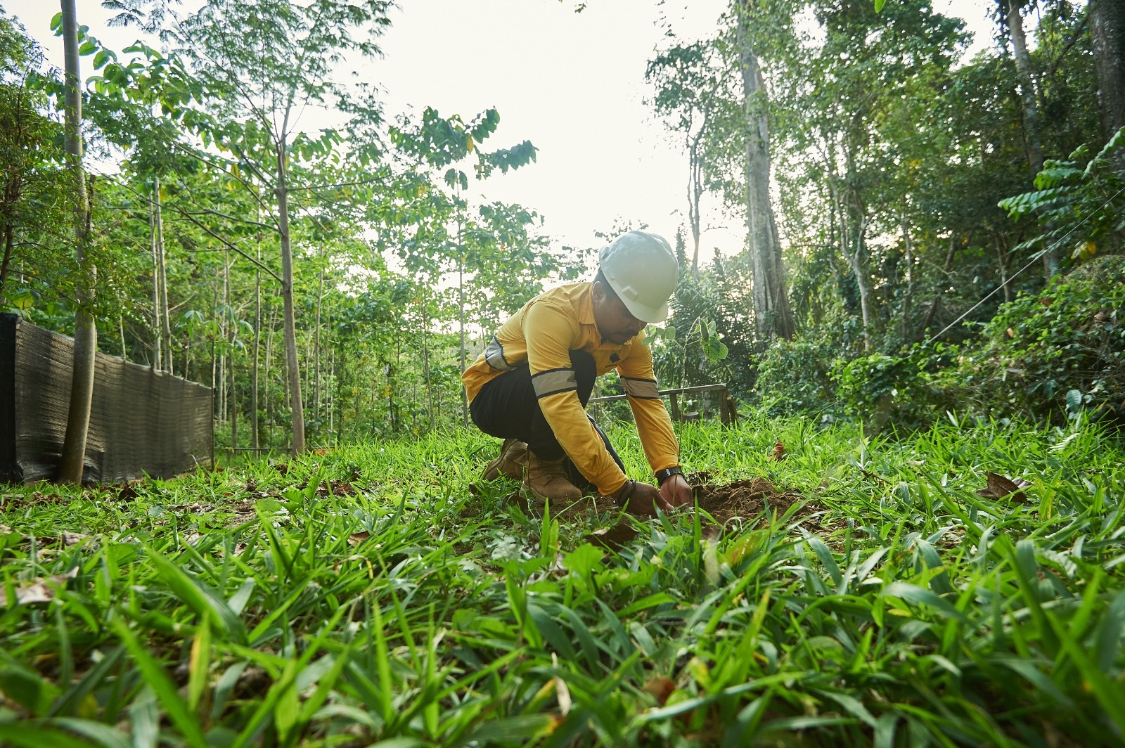 Antisipasi El Nino Godzilla, Pengawasan Hutan di NTB Diperketat