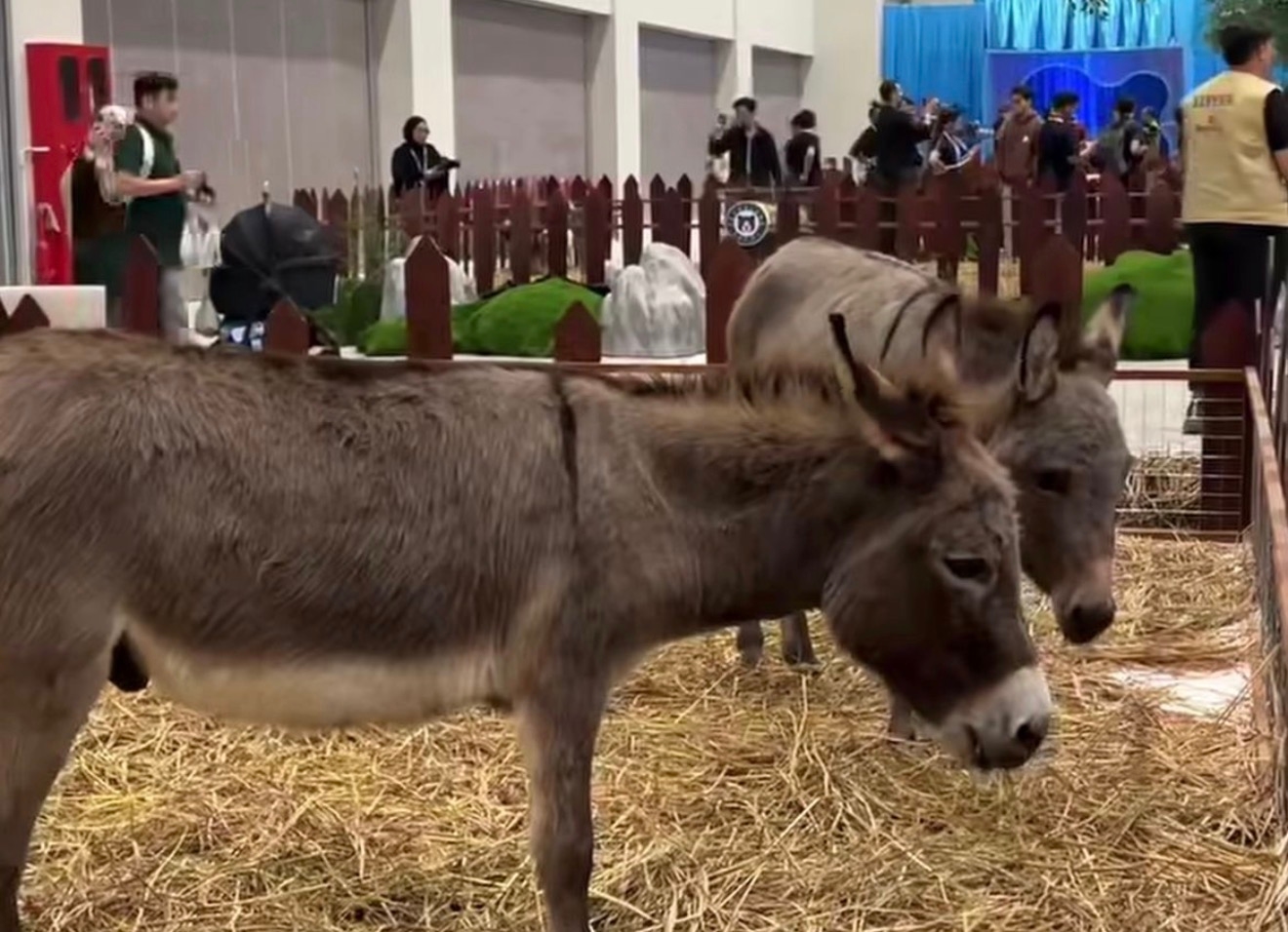 Datang Karena Diskon, Pulang Bawa Pengalaman Tak Terlupakan di PAW Expo 2026