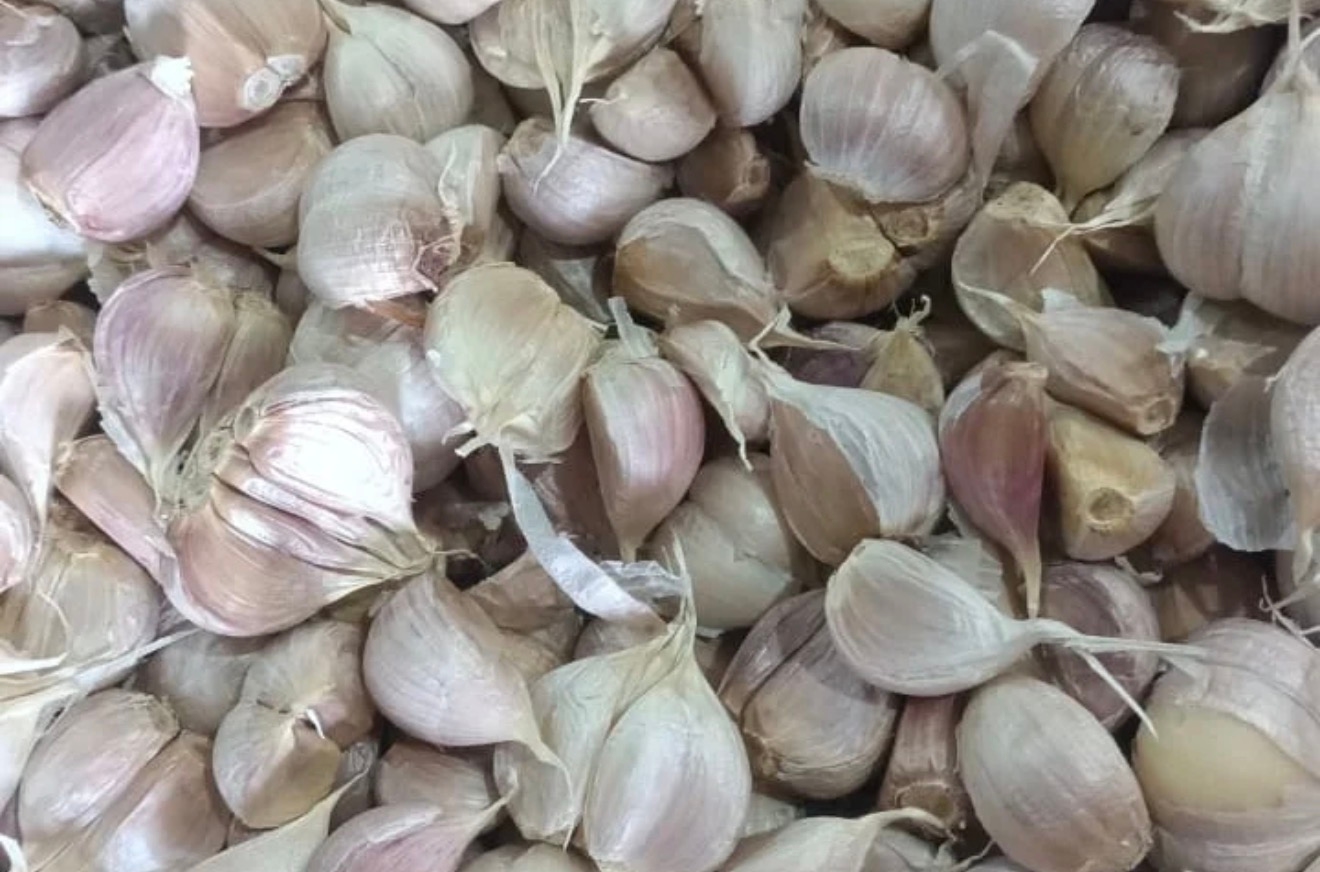 Target 2029, DPR Dorong Indonesia Lepas dari Impor Bawang Putih