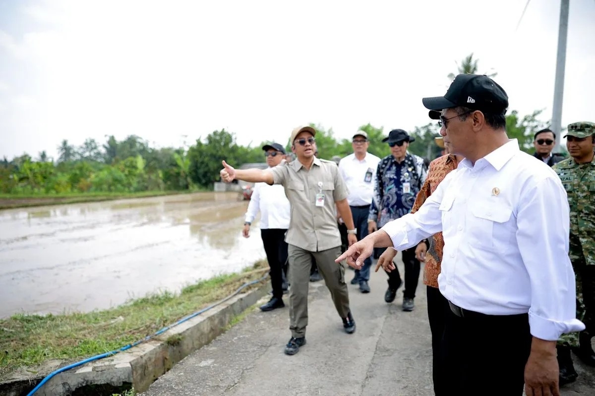 Pompanisasi Jadi Andalan, Panen Petani Bisa 3 Kali Setahun