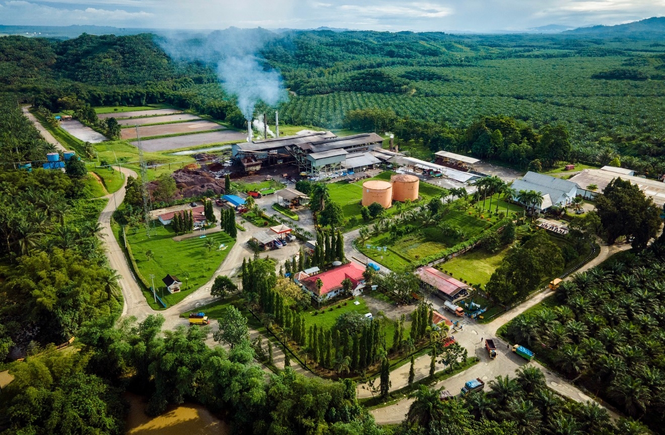 Industri Sawit Perkuat Komitmen Dorong Ekonomi Hijau dan Berkelanjutan