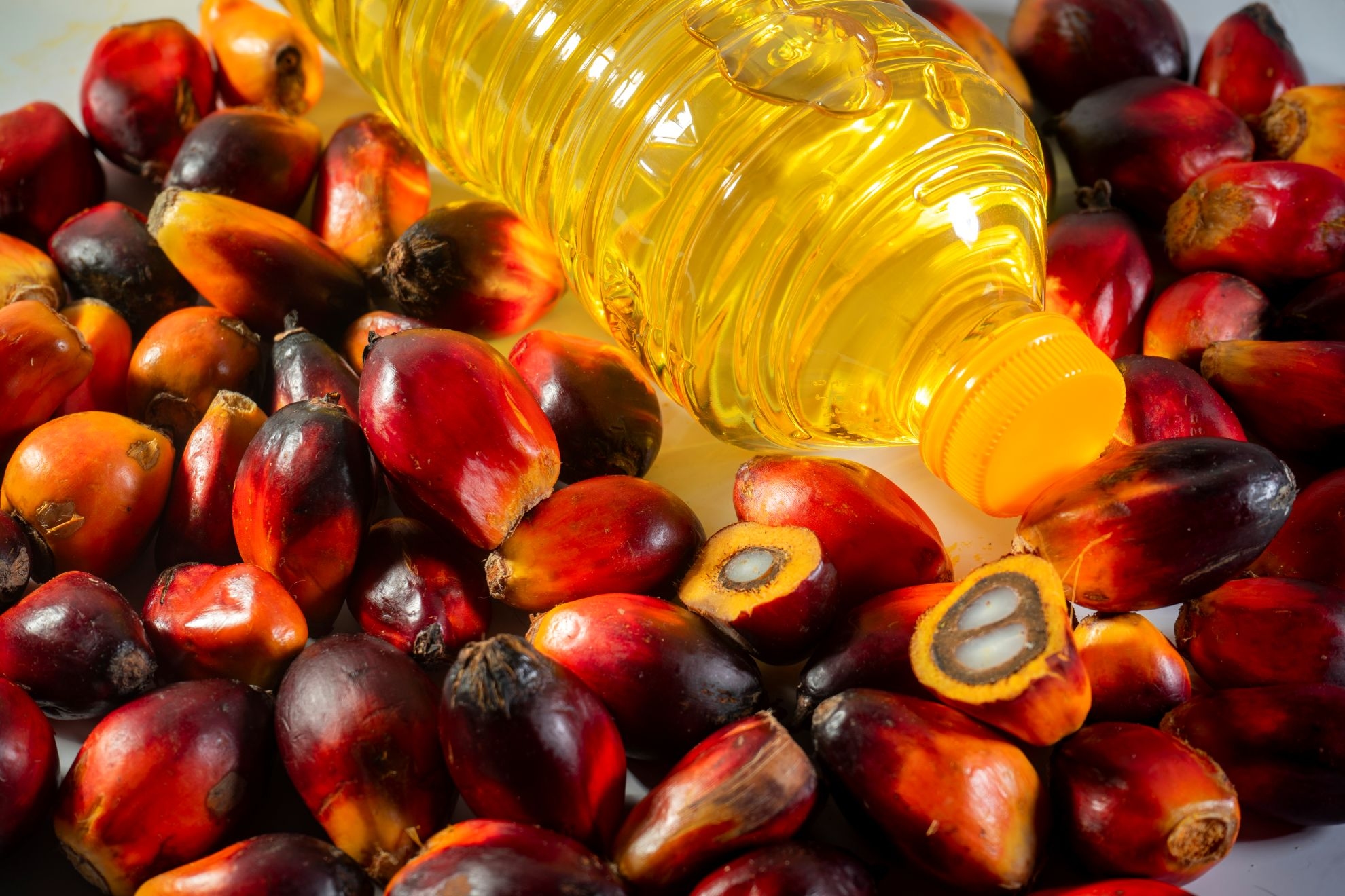 Kemasan Plastik Picu Kenaikan Harga Minyak Goreng