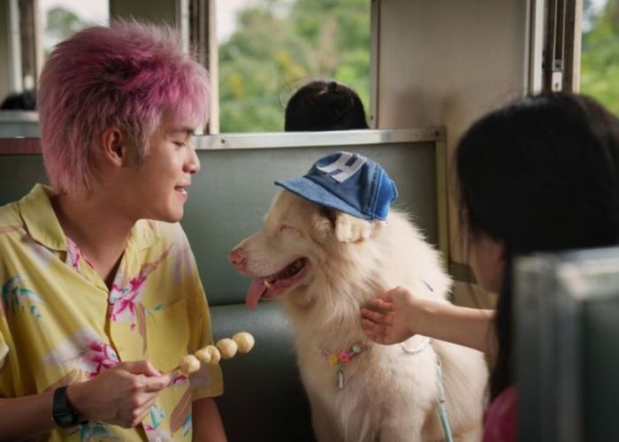 Bikin Mewek! Sinopsis Gohan: Kisah Kesetiaan Anjing di Thailand yang Mengharukan
