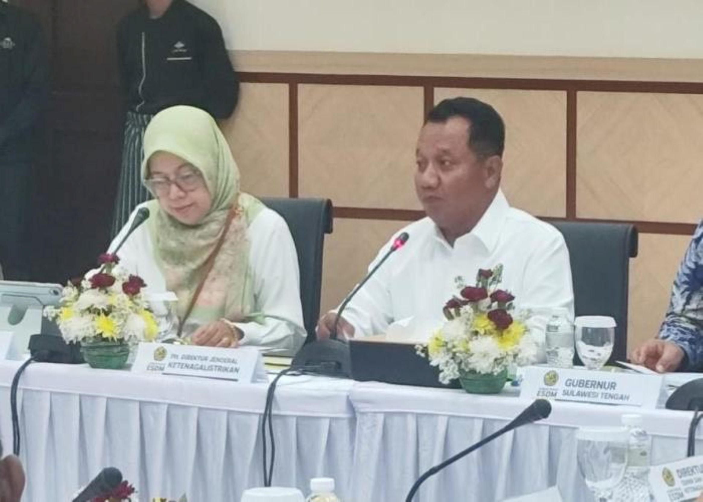 Kementerian ESDM Terus Kebut Program Listrik Desa, 1.403 Lokasi Sudah Terbangun
