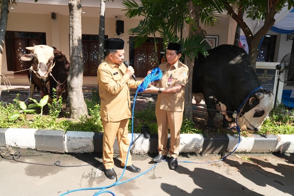 Perkuat Kepedulian Sosial, Mendagri Minta Penyaluran Daging Kurban Optimal dan Tepat Sasaran