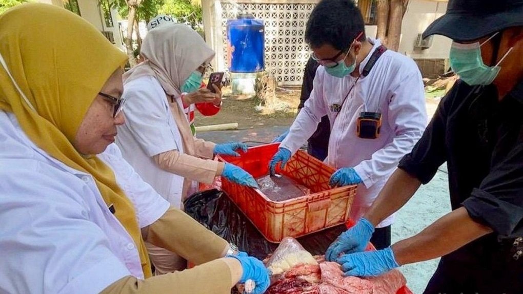 19 Kilogram Organ Hewan Kurban Tak Layak Konsumsi Dimusnahkan di Kepulauan Seribu