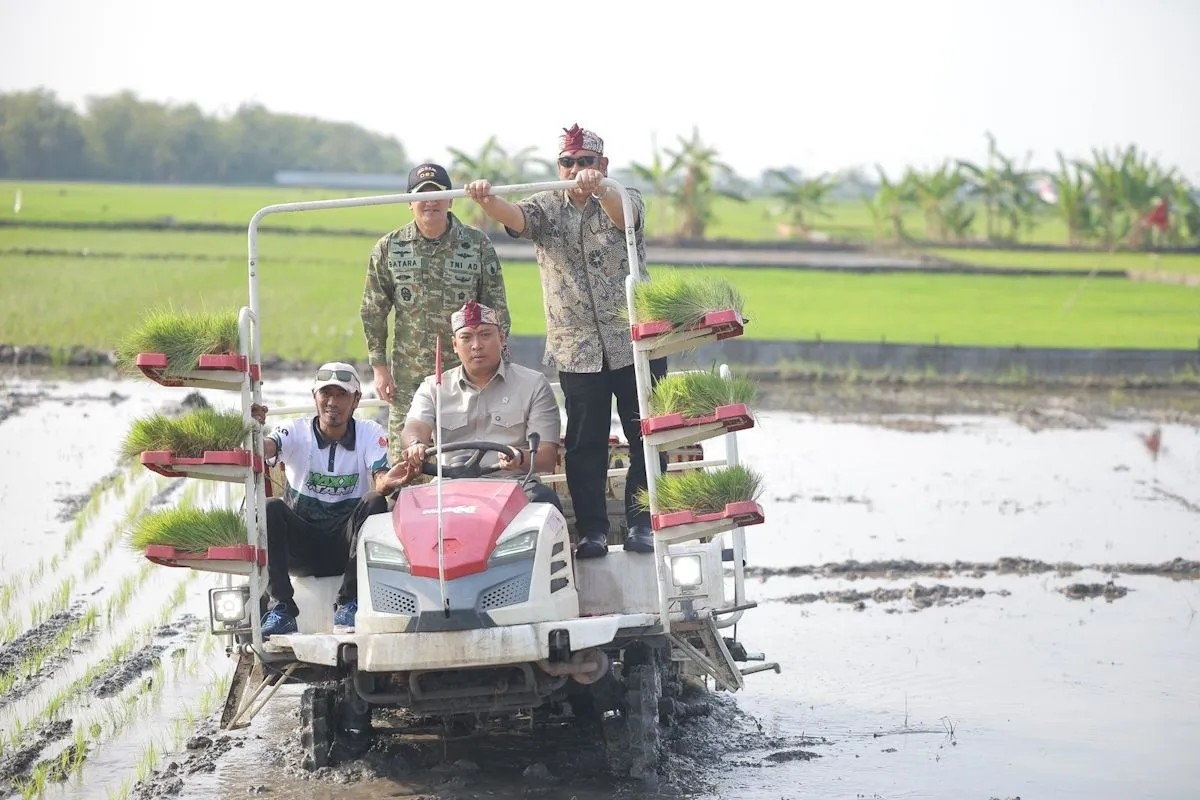 Kementan Tanam Padi di Lamongan Seluas 740 Hektare Jelang Puncak El Nino Godzilla