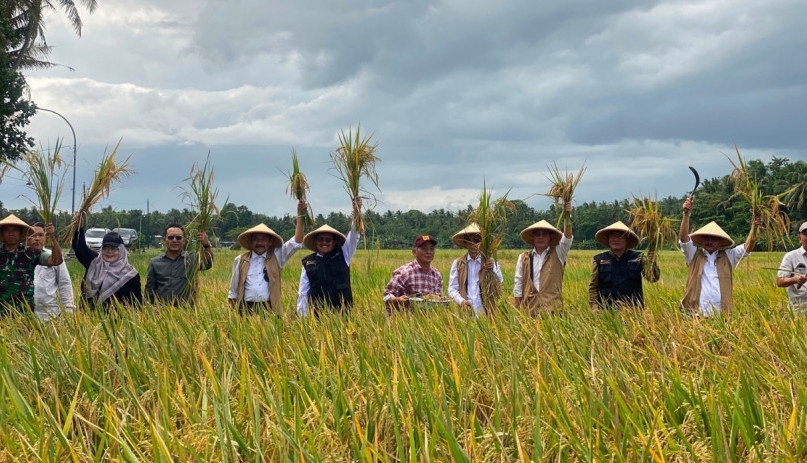 BPS Taksir Produksi Beras di Juni-Agustus 2026 Naik 1,38 Persen ke 2,88 Juta