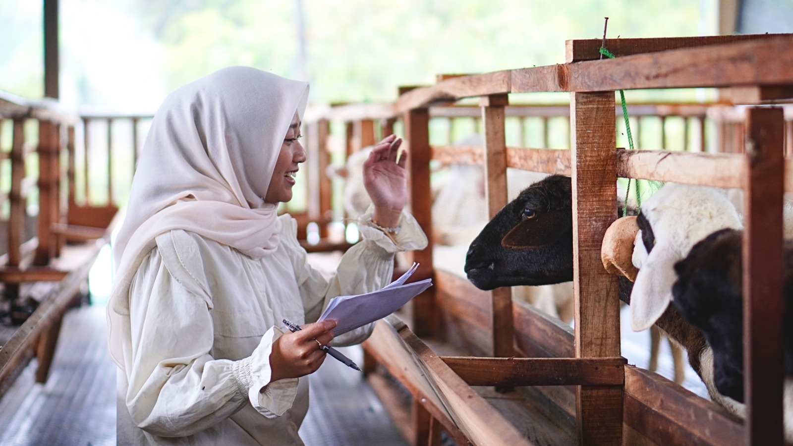 Generasi Hijau dari Lereng Merapi: Pemuda Boyolali Pimpin Masa Depan Peternakan Berkelanjutan