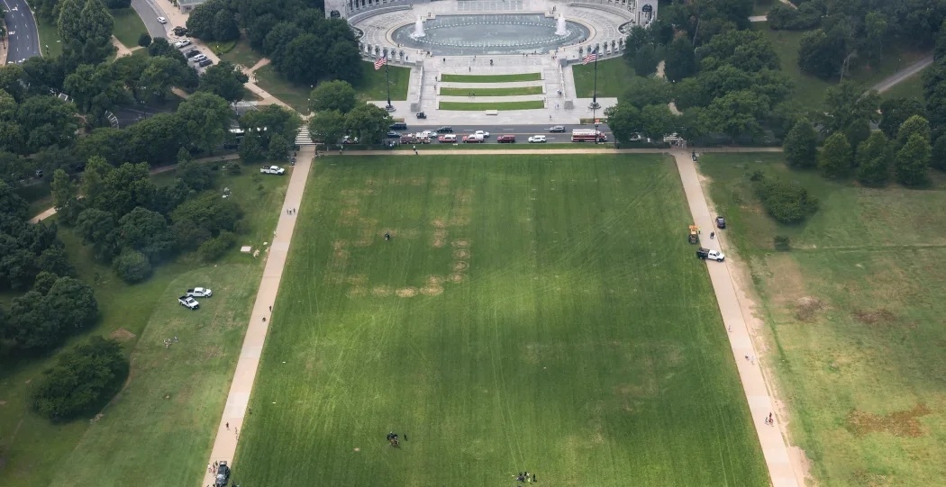 Heboh Tulisan Misterius "8647" Muncul di National Mall Washington, Pemerintah AS Langsung Selidiki