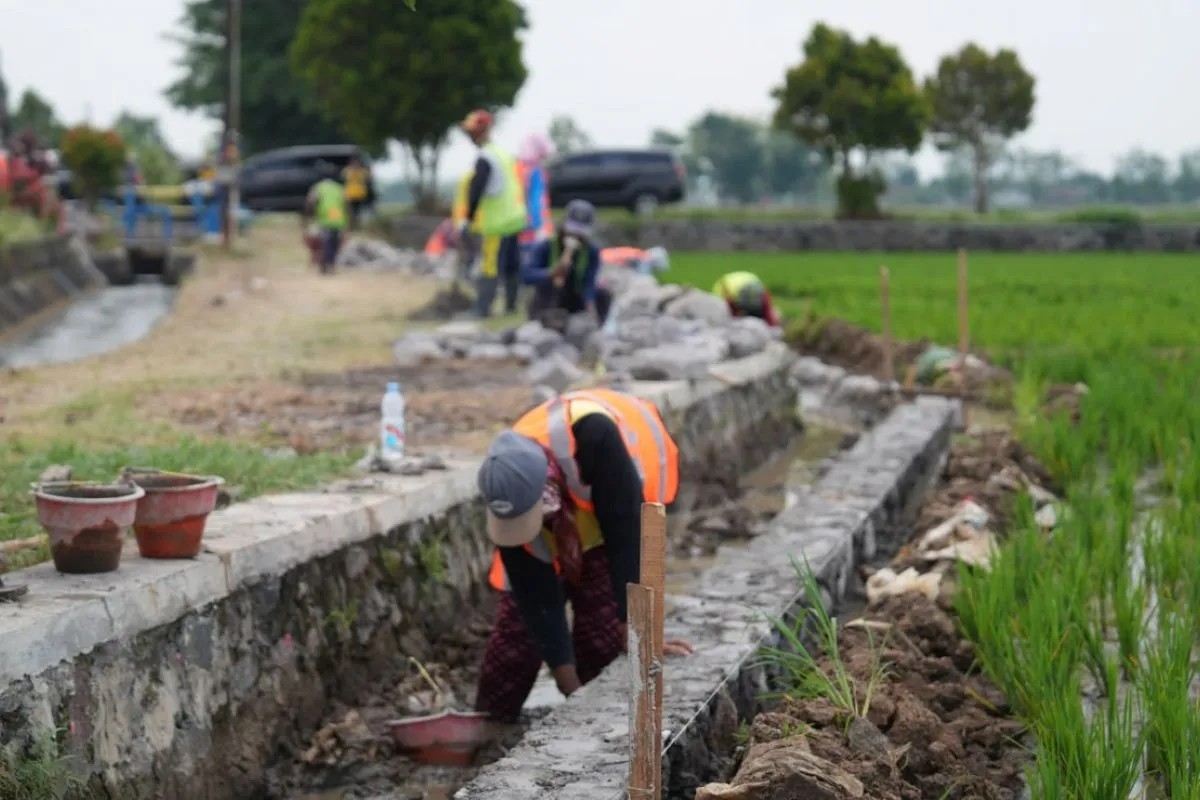 Kementerian PU Anggarkan Rp1,65 Triliun Untuk Bangun Irigasi di 4.127 Titik pada 2027