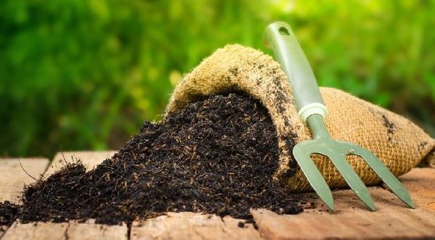 Bagaimana Cara Membuat Kompos dari Sampah Dapur