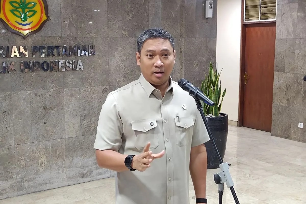 Swasembada Bawang Putih Dikejar 4 Tahun, Wamentan: Benih Kunci Utamanya