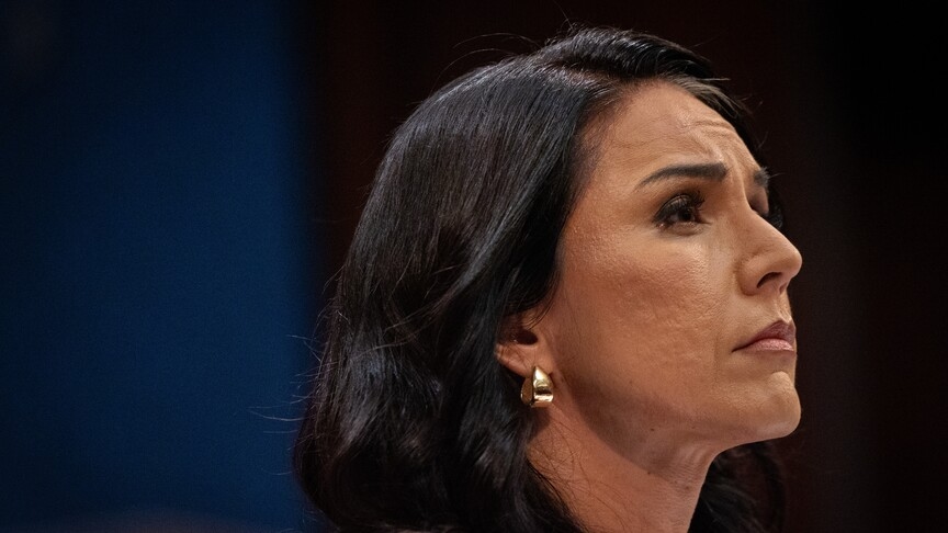 Dokumen Rahasia COVID-19 Dibuka, Tulsi Gabbard Tuding Fauci Sembunyikan Fakta Asal-Usul Virus