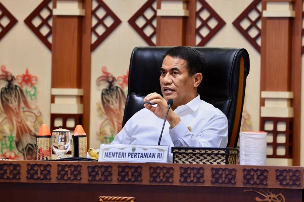 Pemerintah Siapkan 870 Ribu Hektare Perkebunan Rakyat, Hibah untuk Para Petani
