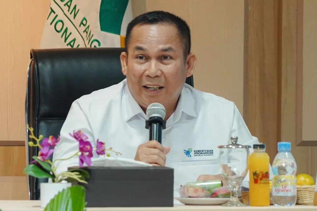 Kemendag Pastikan Hak Pelanggan PLN Terlindungi Saat Listrik Padam