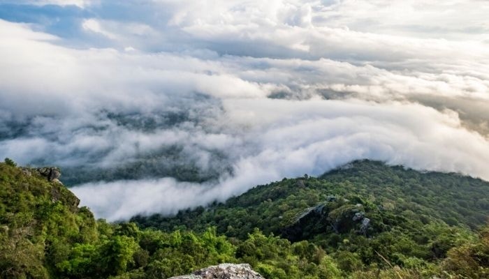 Apa Itu Fenomena Bediding? Pengertian, Penyebab, dan Wilayah Terdampak