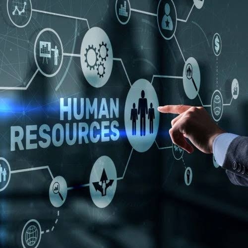 Apa Tugas HR Generalist? Ini Peran dan Tanggung Jawabnya di Perusahaan