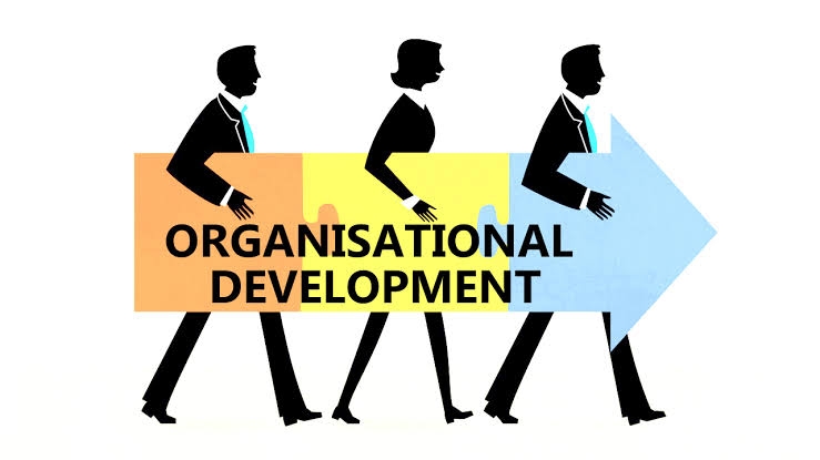 Apa Tugas Organizational Development (OD)