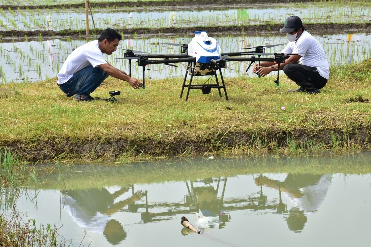 Canggih, Kementan Siapkan Drone Pengangkut Gabah 100 Kg