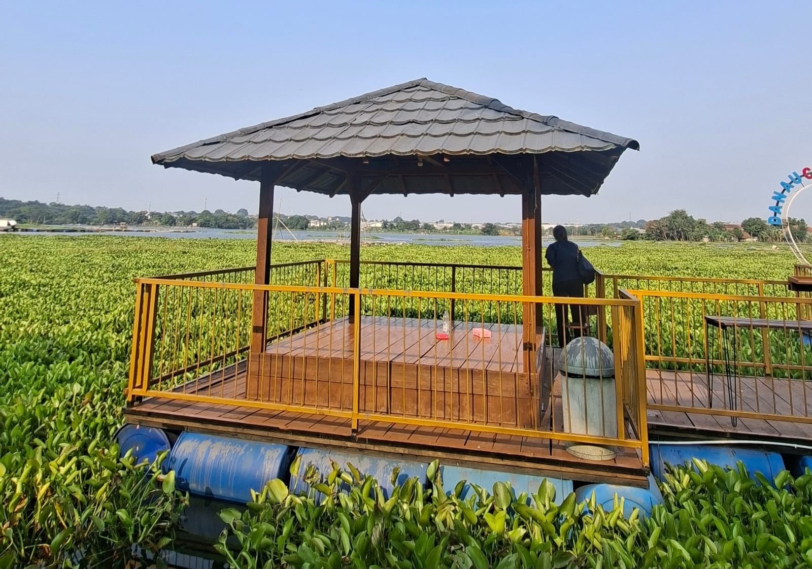 Kala Eceng Gondok Menghidupkan Kembali Danau Cinta Walahar