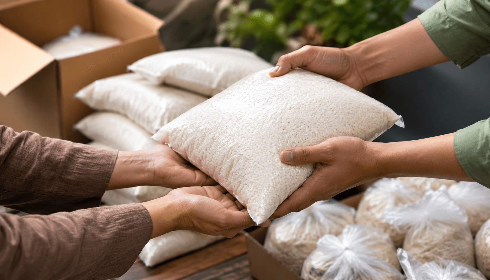 Cara Dapat Bansos Beras 10 Kg Juli 2026 secara Online dan Offline, Lengkap dengan Syarat dan Cara Cek Penerima