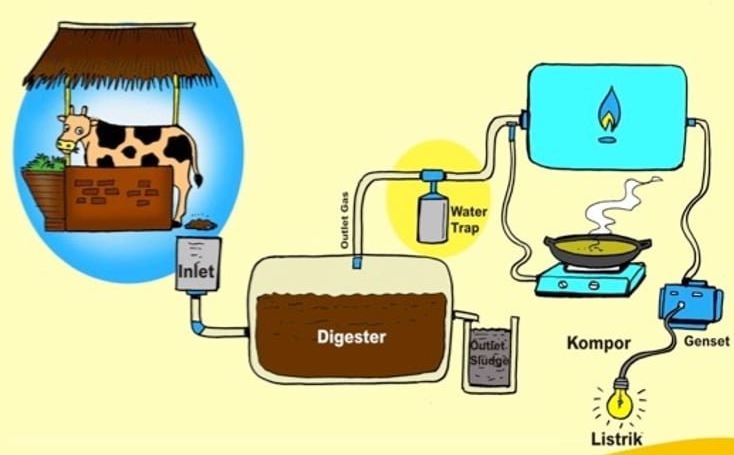 Cara Membuat Biogas dari Limbah Organik Secara Sederhana