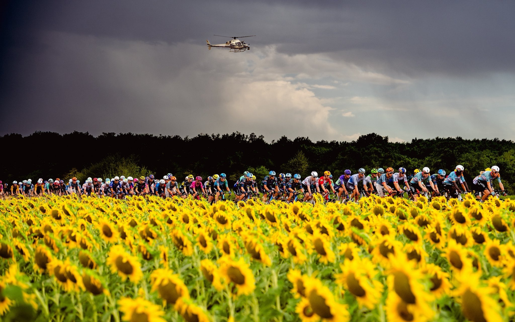 Tour De France: Etape 11, Trek dari Kota Kuno Vichy Arena Duel Para Sprinter