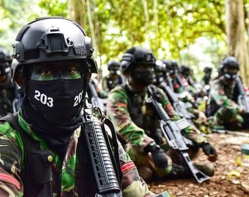 Bagaimana Struktur Satuan Tempur TNI AD? Kenali Tingkatan dan Perannya