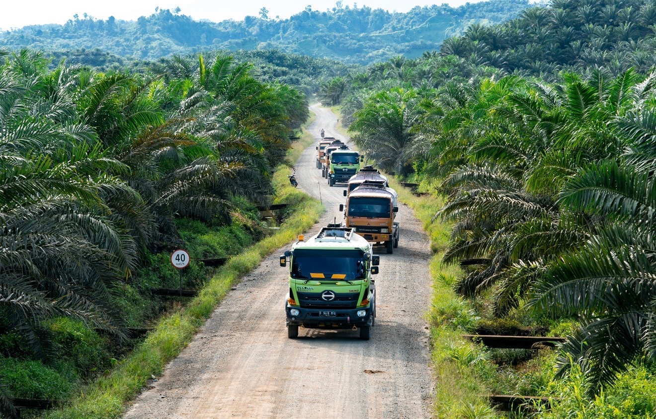 Indonesia Harus Jadi Pusat Hilirisasi Sawit Global, Bukan Sekadar Produsen CPO