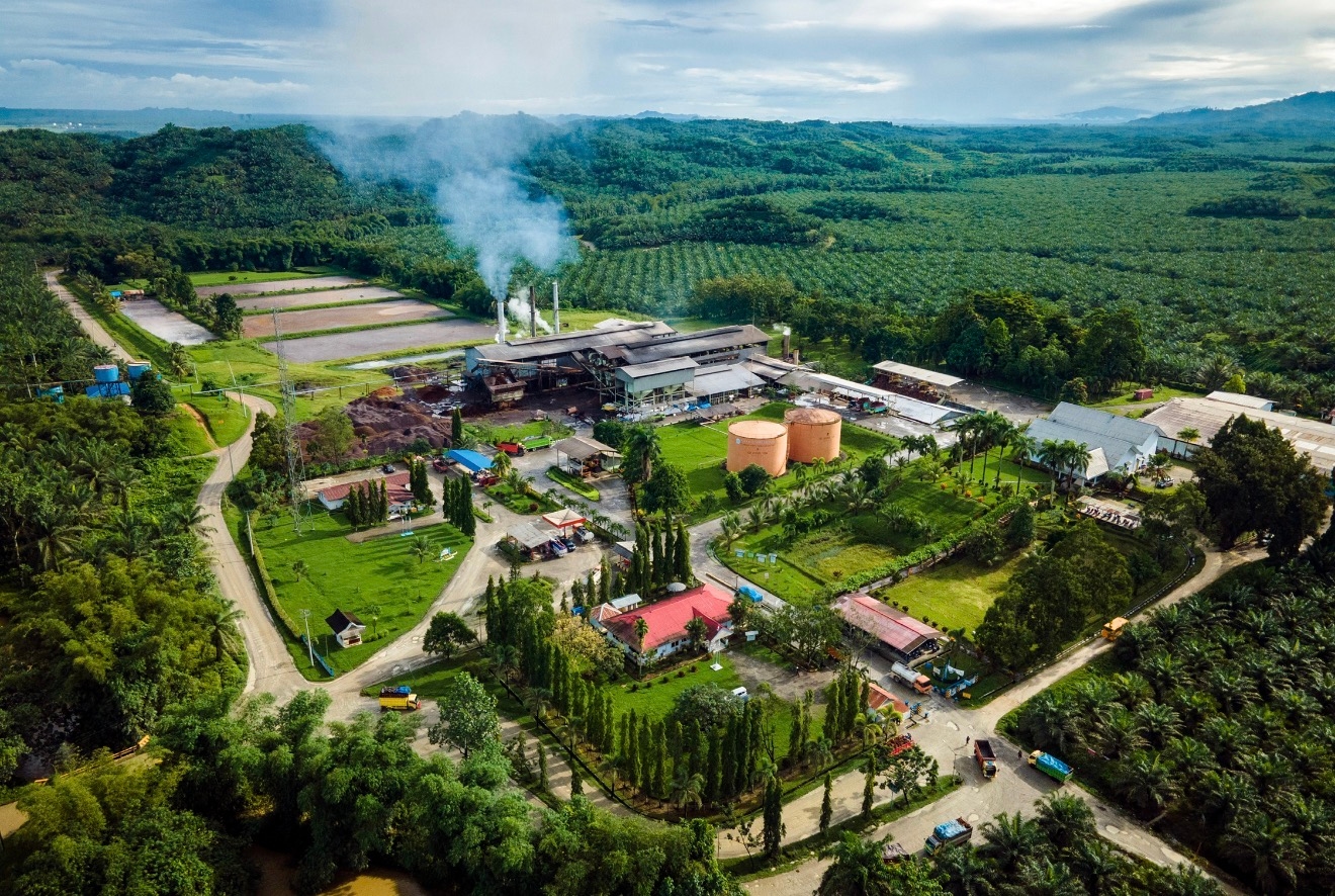 Sawit Berpotensi Jadi Pilar Energi Terbarukan Indonesia