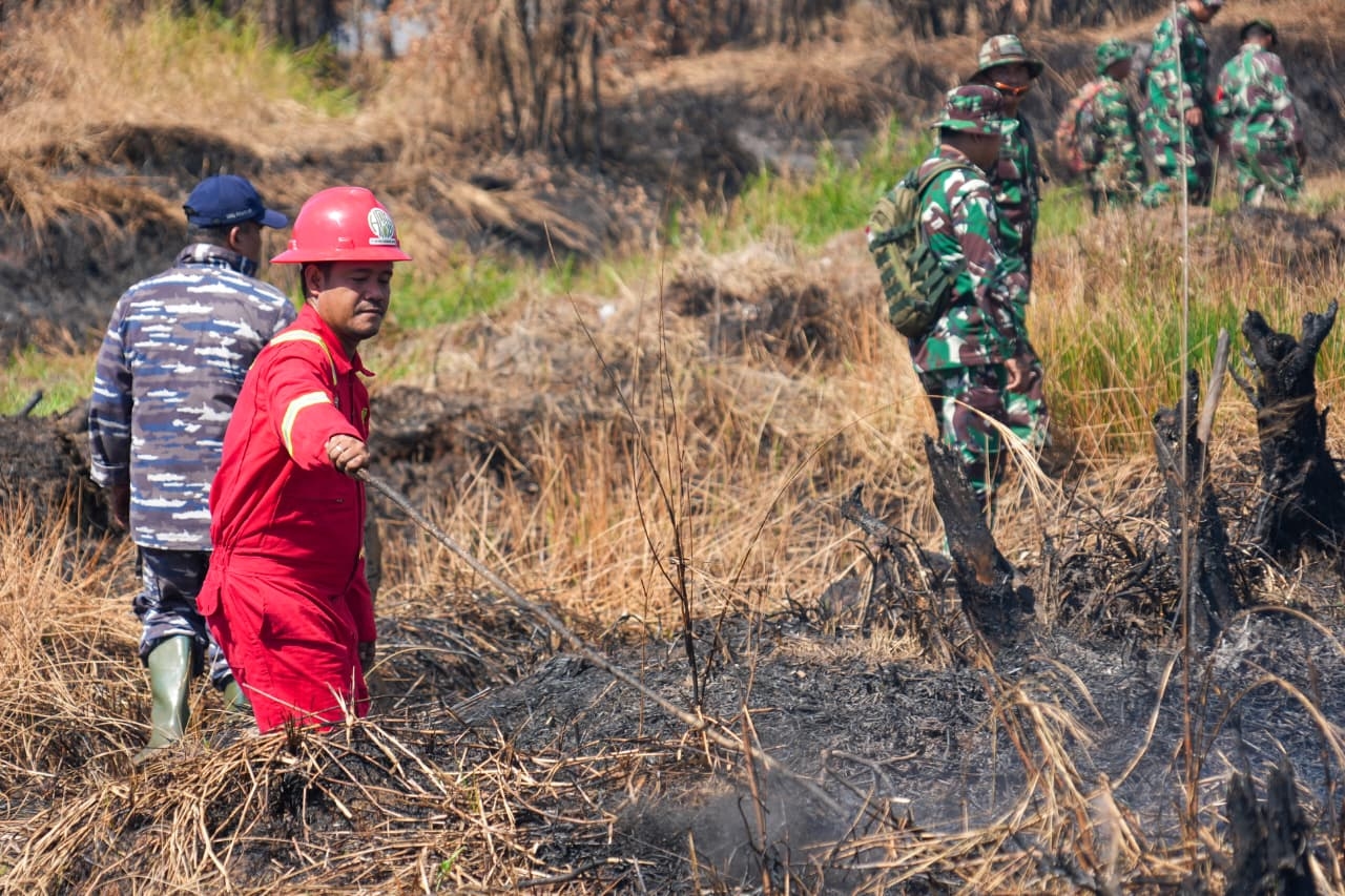 Pemerintah Optimalkan Operasi Modifikasi Cuaca Tangani Karhutla di Kalimantan