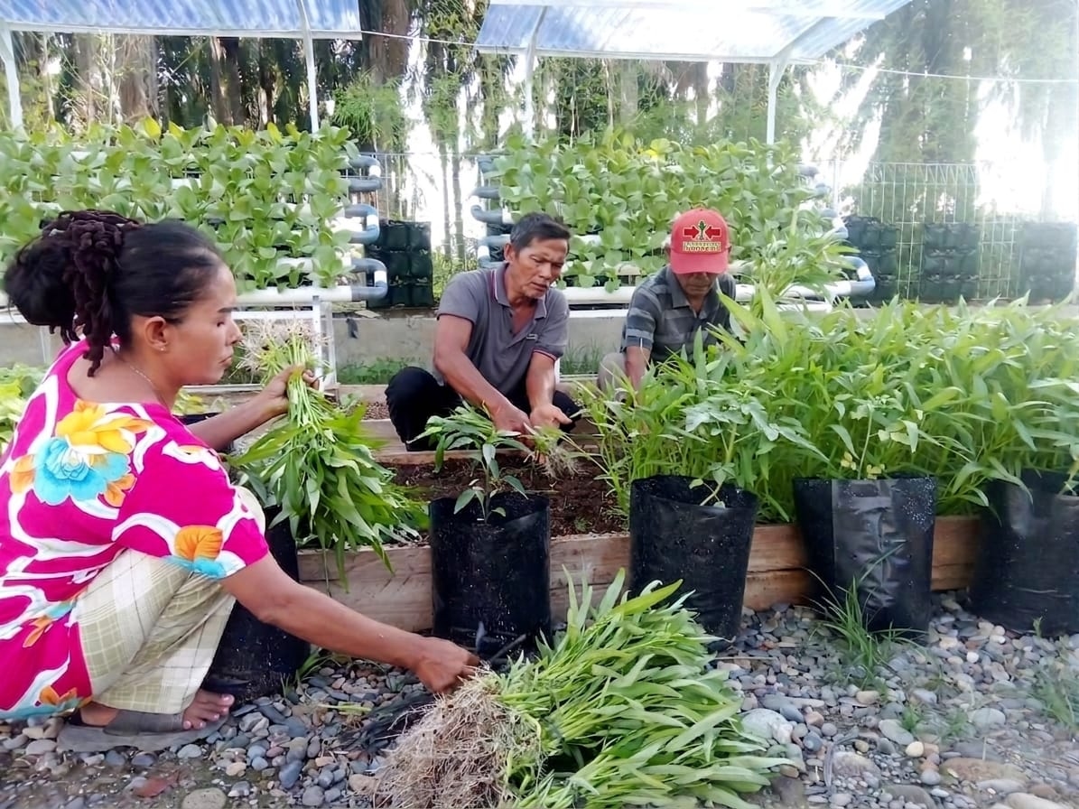 Kebun Harmoni Tumbuhkan Harapan Baru di Huntara Aceh Tamiang
