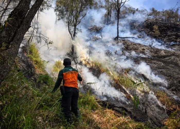 Kebakaran Bromo Terus Meluas, Puan Minta Penanganan Didukung Personel dan Peralatan yang Memadai