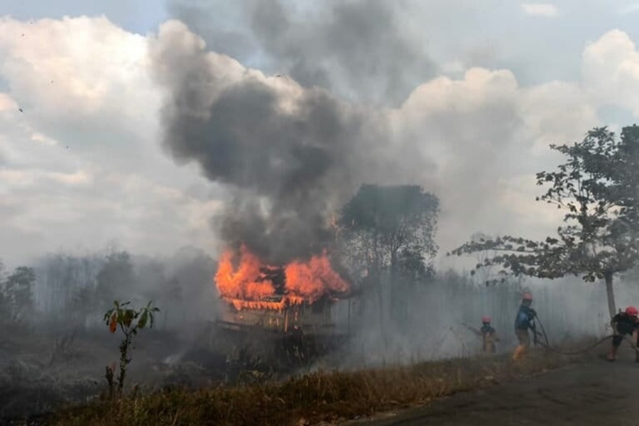 Water Bombing hingga Helikopter Dikerahkan dalam Penanganan Karhutla di Sejumlah Daerah