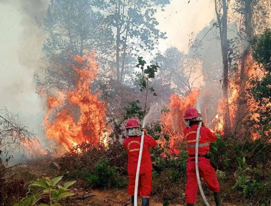 Sinergi Lintas Sektor, Pemerintah Gabungkan Kekuatan Kendalikan Karhutla