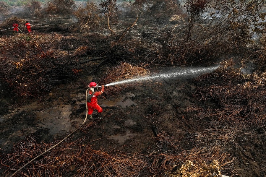 KLH Terus Proses Perusahaan Penyebab Karhutla, 32 Perkara Belum Selesai Sejak 2023
