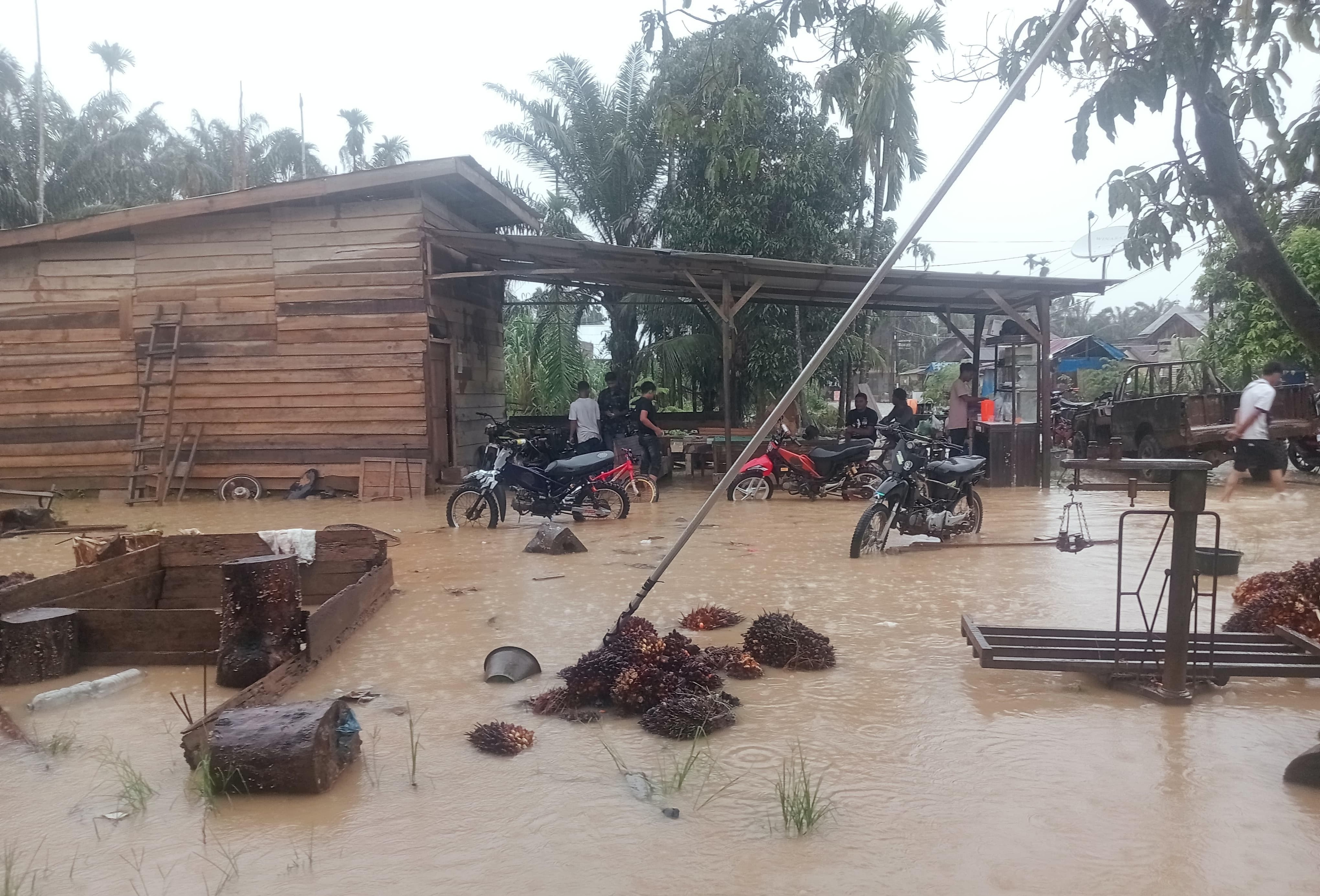 Mengapa Curah Hujan Tinggi Seharian Bisa Menyebabkan Luapan Air dan Banjir