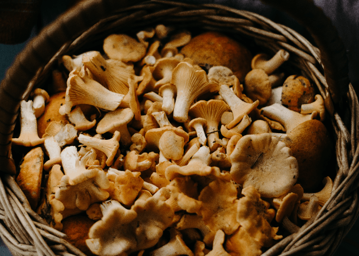 Sayuran Ini Jangan Dipanaskan, Bisa Jadi Racun