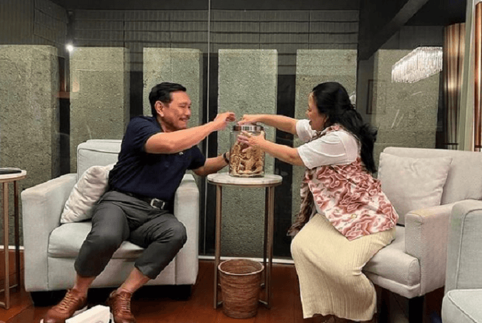 Pertemuan Puan-Luhut Tidak Bahas Golkar