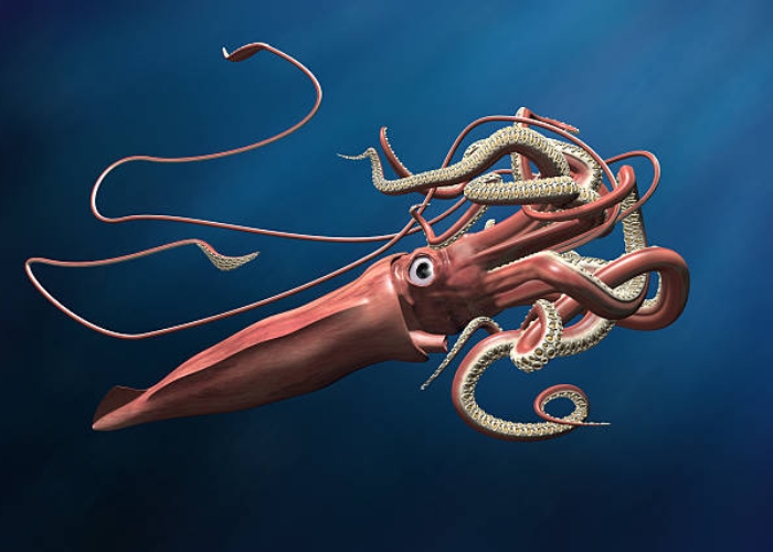 Misteri Lautan Dan Mengapa Banyak Makhluk Raksasa Di Laut?