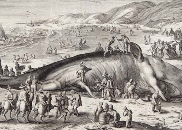 Kisah Porphyrios, Teror Seekor Paus Pada Kekaisaran Bizantium