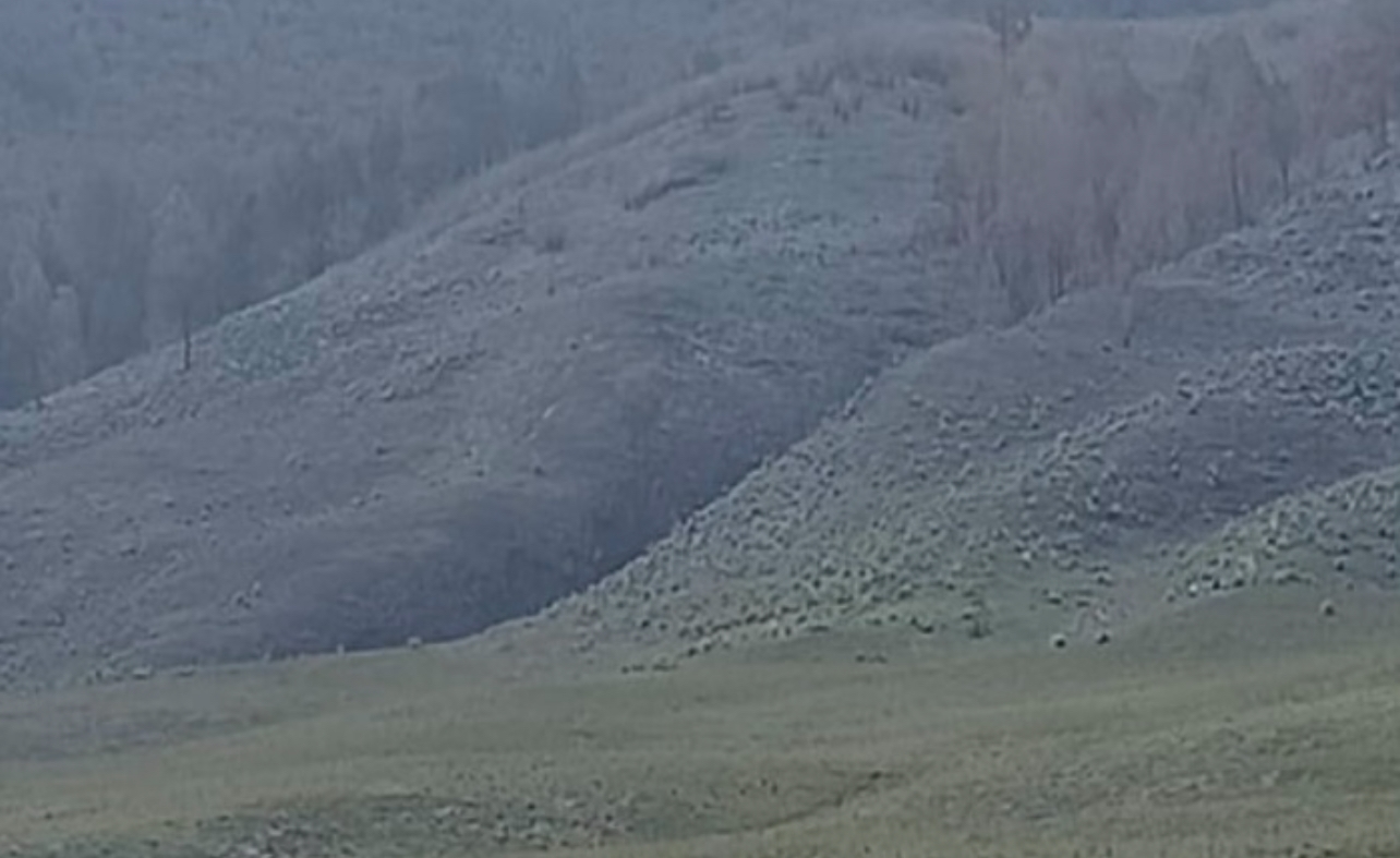 Savana Bromo Kembali Hijau, Awas Jangan Foto Prewed Pakai Flare Lagi!