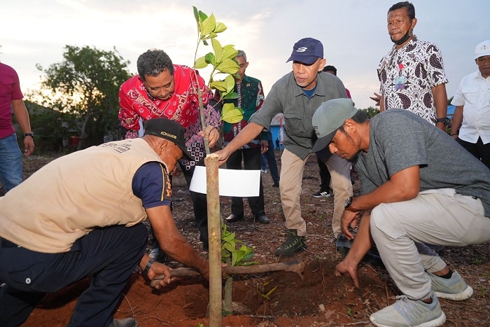 Penanaman Bibit Nangka Madu di Bulukumba, Pj Gubernur Bahtiar: Jangan Biarkan Lahan Kosong